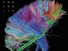 Muse - The 2nd Law [VINYL]