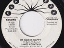 JAMES FOUNTAIN My Hair Is N ap-py NORTHERN SOUL 45 Burning Up For Your Love FUNK