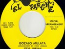 texas LATIN CHICANO psych soul funk 45 STEVE JORDAN esteban jordan GOZALO MULATA