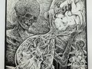 Flagitious Idiosyncrasy In The Dilapidation Insect Warfare 7
