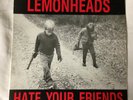 Lemonheads - Hate Your Friends [vinyl -12