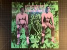 Miracle Legion - Me and Mr Ray 1989 Original Pressing Vinyl LP Rough Trade US 57