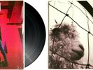 Pearl Jam Ten & Vs. [Current Pressings] LP Vinyl Record Album / 10 [in-shrink]