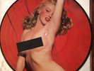 MARILYN MONROE Exclusive picture disc l.p. Album - COOL & HOT in the same breath