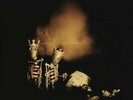 PEARL--JAM RIOT ACT  (NEW DOUBLE VINYL)