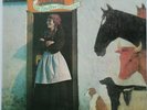 Vashti Bunyan Just Another Diamond Day Vinyl LP Excellent Condition