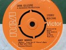 Dana Gillespie Andy Warhol UK 7” 45 Paper Label David Bowie