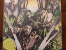 Straight Out the Jungle [LP] by Jungle Brothers, Vinyl, 1988, Warlock Records