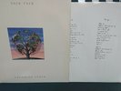 Talk Talk  The Laughing Stock Vinyl Original Holland 91  Top Zustand und Sound