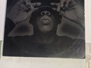 The Black Album [PA] by Jay-Z (Vinyl, Nov-2003, 2 LP Discs, Def Jam (USA))