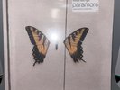 Paramore BRAND NEW EYES Vinyl - BLACK & YELLOW Swirl SEALED HT Exclusive