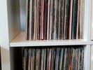Large Bundle of 12