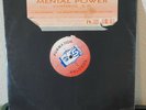 MENTAL POWER - CONTROL EP  FORMATION RECORDS JUNGLE RAVE DNB