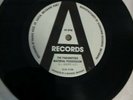 THE PARAMETERS  Rare 1983 Brisbane punk single- Pig City