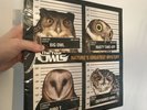 THE FOUR OWLS - NATURES GREATEST MYSTERY - 2 X OG VINYL - HIGH FOCUS UK HIPHOP