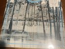 Four Tet Pink Vinyl Me Please Vinyl