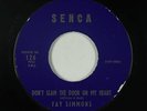 R&B Rocker/Doo-Wop 45 - Fay Simmons - Don't Slam The Door - Senca - mp3