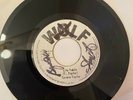 TYRONE TAYLOR LIFE TABLE RARE ORIGINAL WOLF 1975 JACK RUBY REGGAE ROOTS