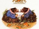 MATCHING MOLE Matching Mole (White Vinyl) Vinyl NEW & SEALED