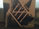 DIAT Everyday 7” OOP RARE Iceage Ceremony NEW