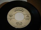 The Fawns - Until I Die / Come On 45 APT promo doo wop decent play copy