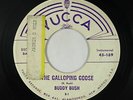 Rockabilly Surf Inst. 45 - Buddy Bush - The Galloping Goose - Yucca - obscure