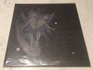 Animal Collective  - Spirit Theyre Gone Spirit Theyve Vanished Vinyl 2xLP