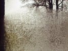 Bon Iver / For Emma Forever Ago (1LP)
