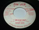 BOBBY WADE FLAME IN MY HEART 7