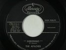 Rockabilly Surf Inst. 45 - Apaches - Geronimo - Mercury - mp3