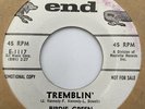Birdie Green 45 RPM Record Tremblin’ How Come End Promo Vintage VG+ 21-38