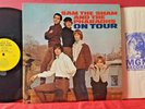 Sam the Sham & the Pharoahs 