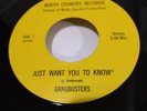 RARE MN Blue-Eyed Soul Gangbusters Just Want You to Know North Country HEAR