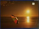 Chris Rea ?– On The Beach 12