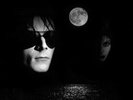 The Sisters Of Mercy – Floodland - Vinyl 12