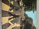 The Beatles “Abbey Road,” 1969 Original 1st Label UK PRESSING, Apple Records