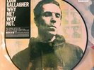 Oasis - Liam Gallagher - Why Me? Why Not. Picture Disc LP Vinyl Album 2019 NEW