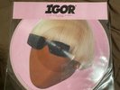 Limited Edition Picture Disk Igor Tyler The Creator MINT CONDITION SEALED