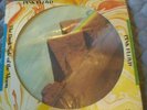 Pink Floyd Dark Side of the Moon 1978 Picture Disc Very rare UK Pyramids photo