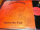 SPLIT DECISION FLIGHT OF THE TRIAD LP PRIVATE PRESS LONG BRANCH NJ 1981 TMOQ