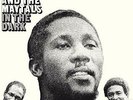 Toots and The Maytals-In The Dark (1LP Black) VINYL NEUF