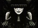 DEAD WEATHER Horehound LP 180-gr NEW SEALED jack white Raconteurs 2009