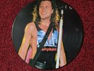 Bon Jovi, Slippery When Wet, VGC - PICTURE DISC vinyl LP