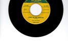 RARE DOO WOP 45 - Crystals on Luna 5001 - Come To Me Darling / Squeeze Me Baby