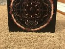 Amaryllis Shinedown Vinyl