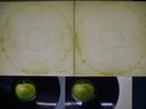 BEATLES WHITE ALBUM APPLE AP-8570,1 Japan RED VINYL POSTER VINYL 2LP