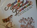 Joseph and the Amazing Technicolor Dreamcoat Vinyl Record lp new