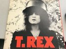 T. Rex - The Slider - Record LP - Marc Bolan