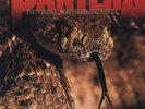 Pantera -Great Southern Trendkill (180 Gram Vinyl)