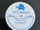ann marie - what a feeling - seal - r&b/dance/modern soul